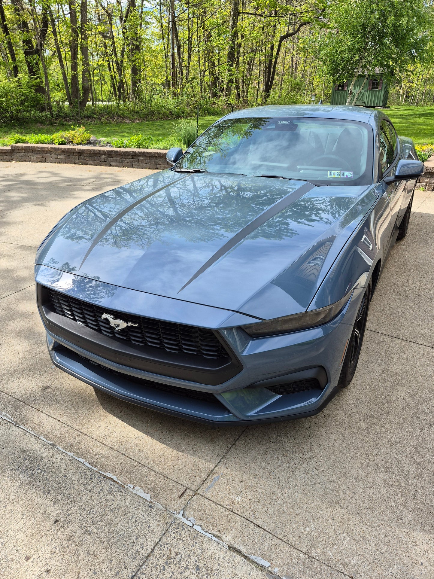 Hood Spear Decals for the 2024 Ford Mustang GT