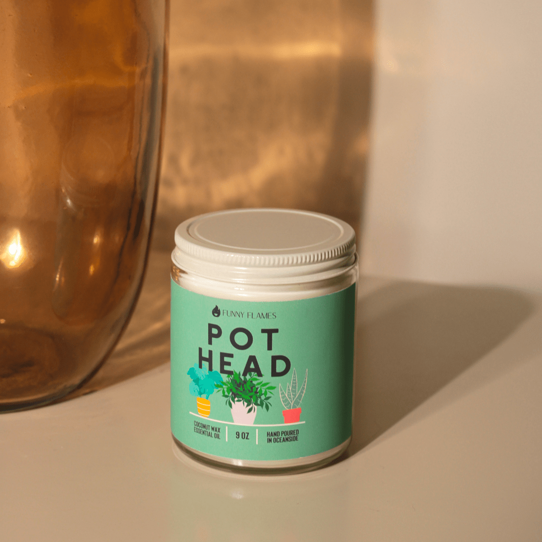 Pot Head - Jaico Online Shop