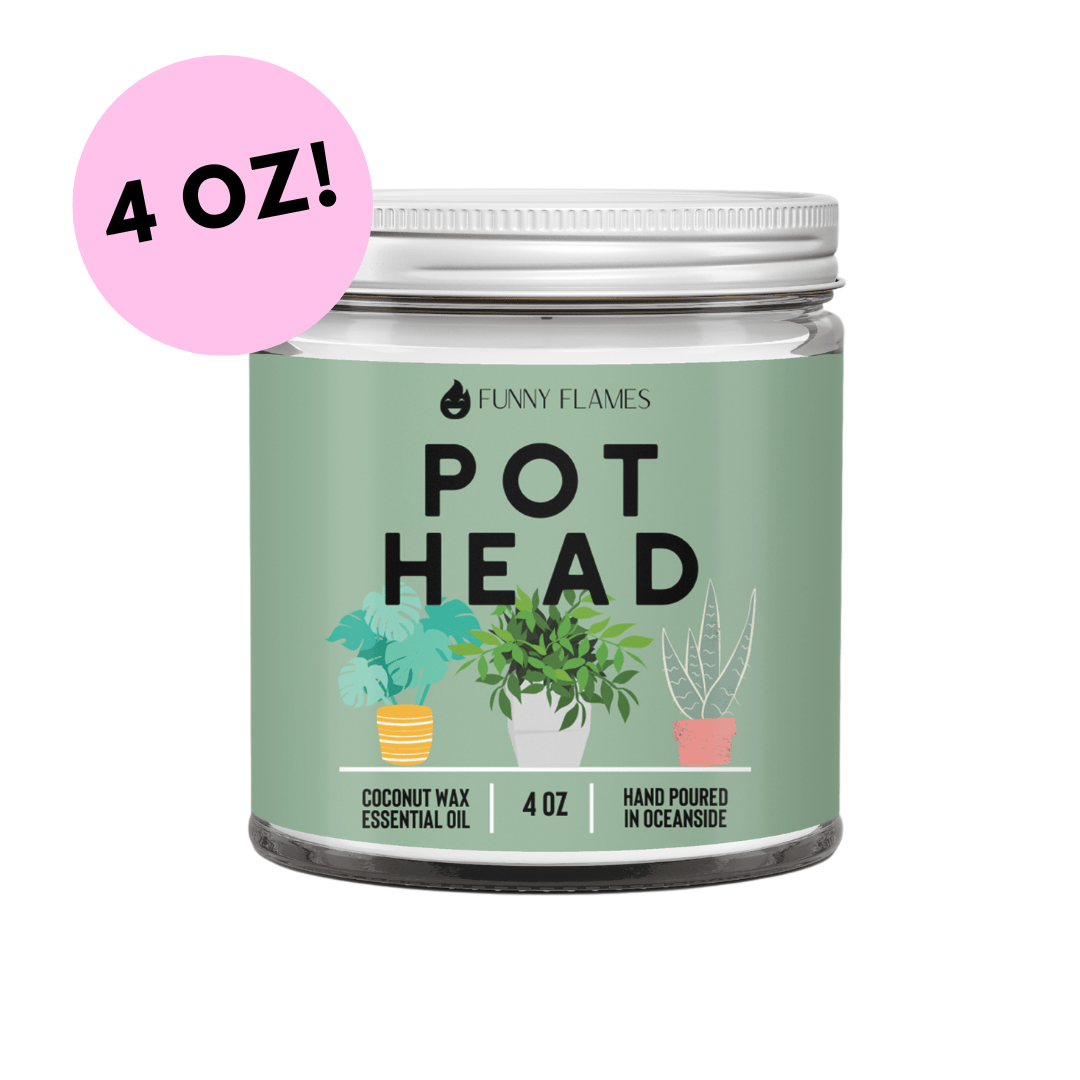 Pot Head - Jaico Online Shop