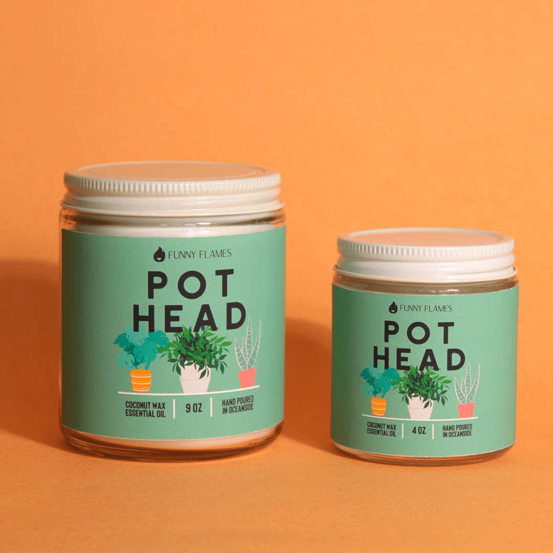 Pot Head - Jaico Online Shop