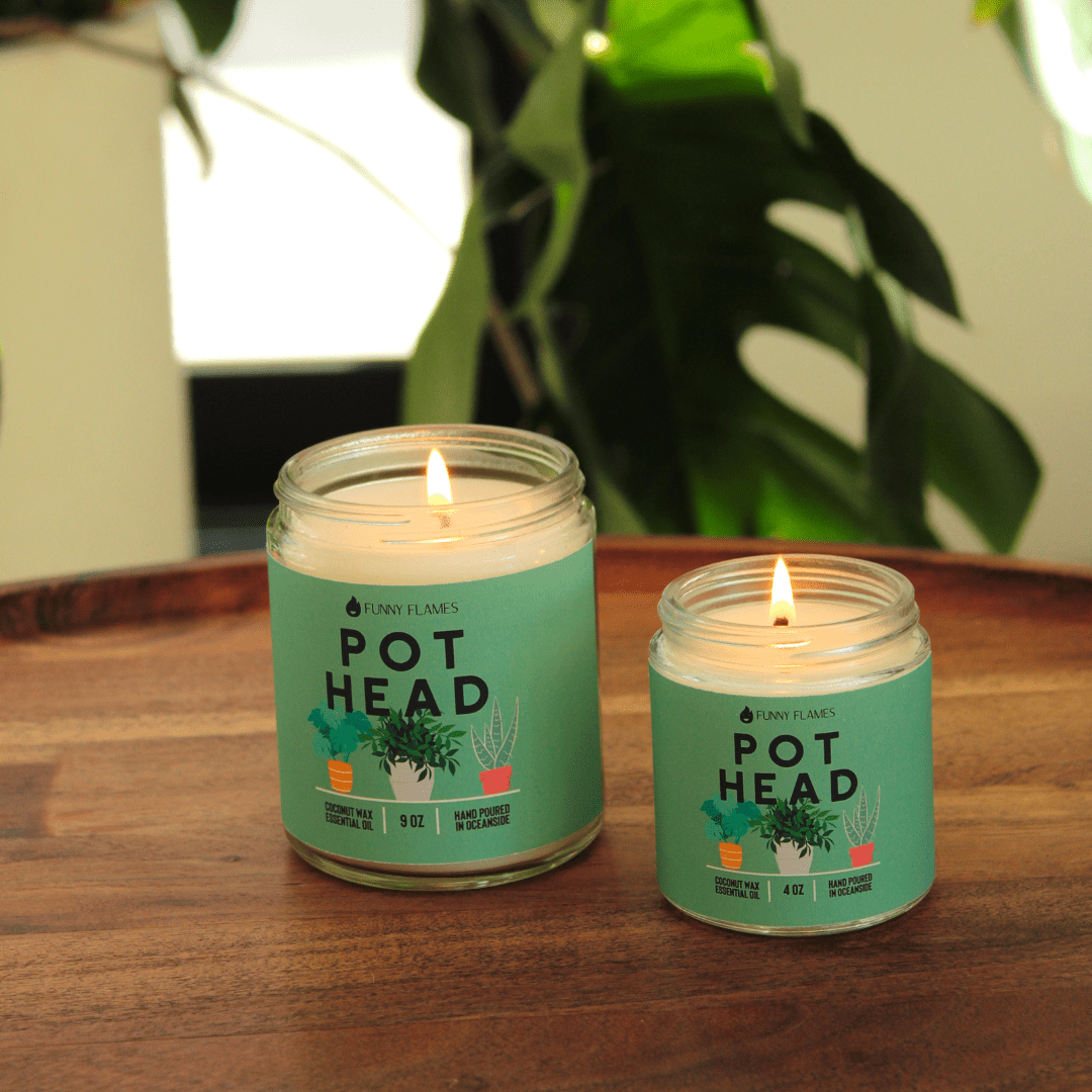 Pot Head - Jaico Online Shop