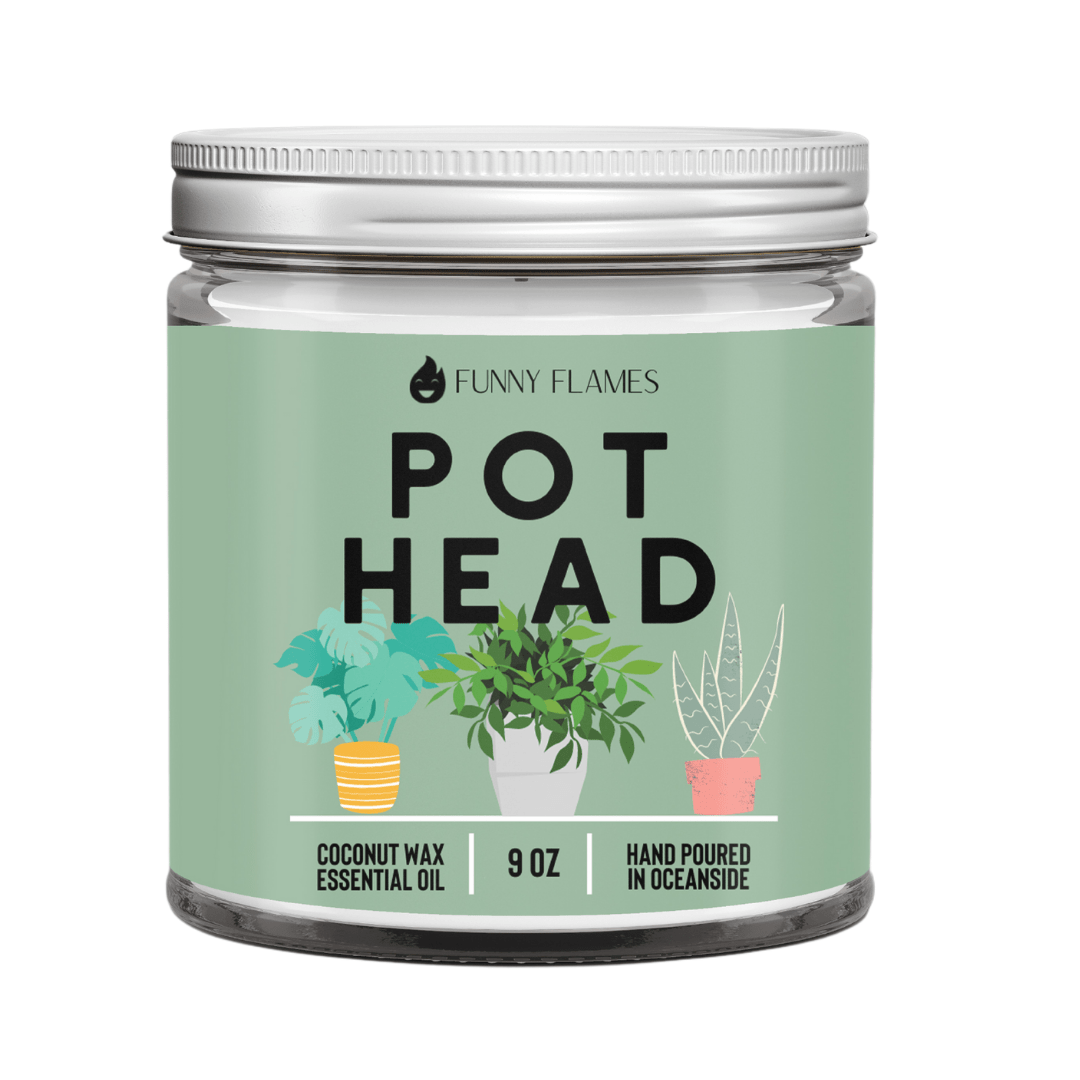 Pot Head - Jaico Online Shop