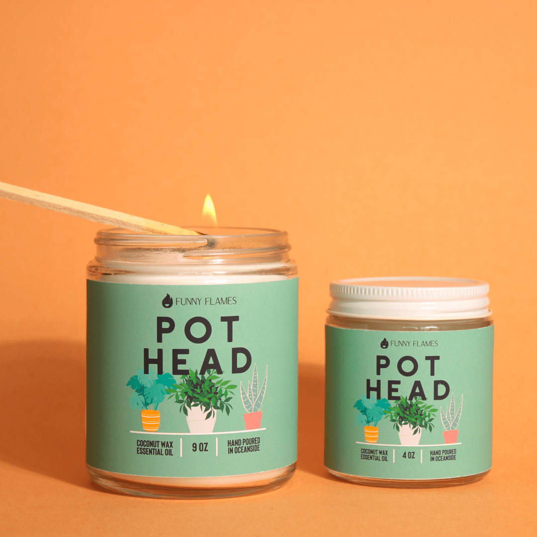 Pot Head - Jaico Online Shop