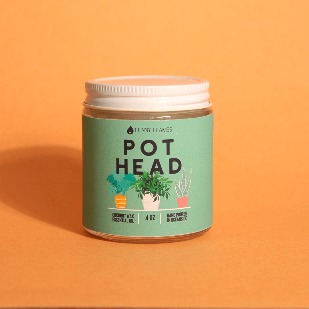 Pot Head - Jaico Online Shop