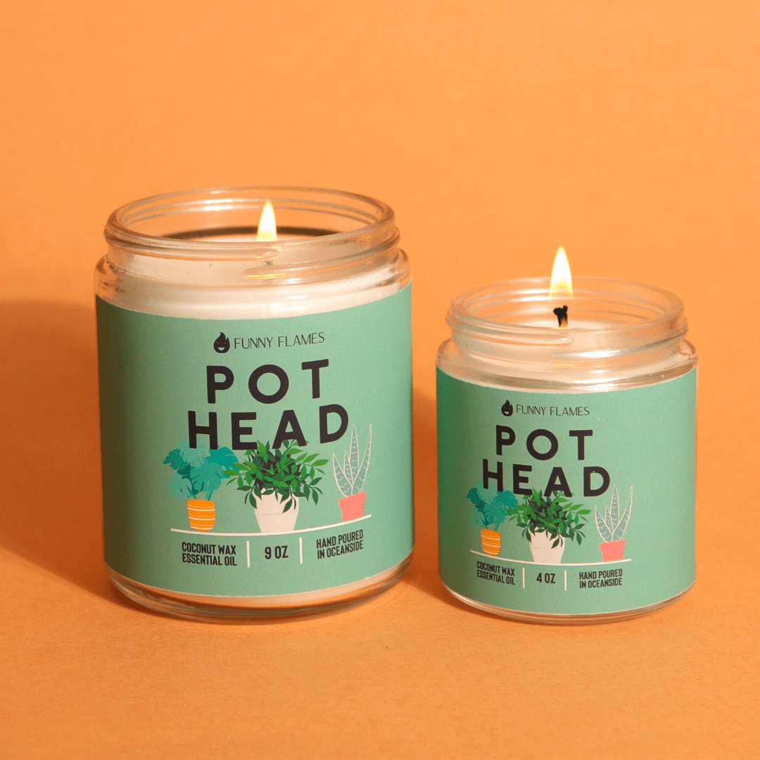 Pot Head - Jaico Online Shop