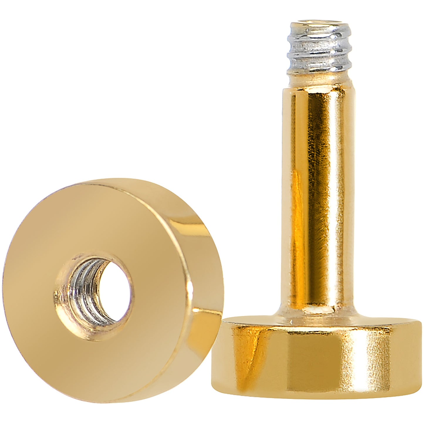 10G PVD Gold Titanium Screw Fit Tunnel