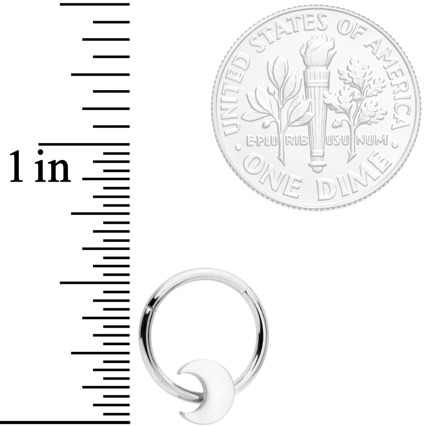 16G 3/8 Crescent Moon Hinged Segment Ring