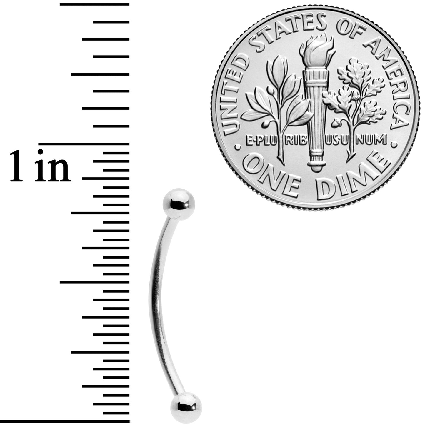 16G 5/8 Stainless Steel Curved Barbell