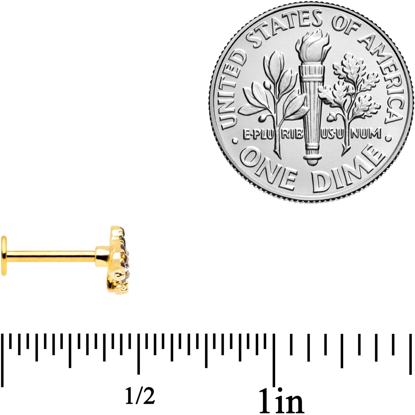 16G 5/16 Clear Black Gem Gold Tone Dinosaur Labret Monroe Tragus