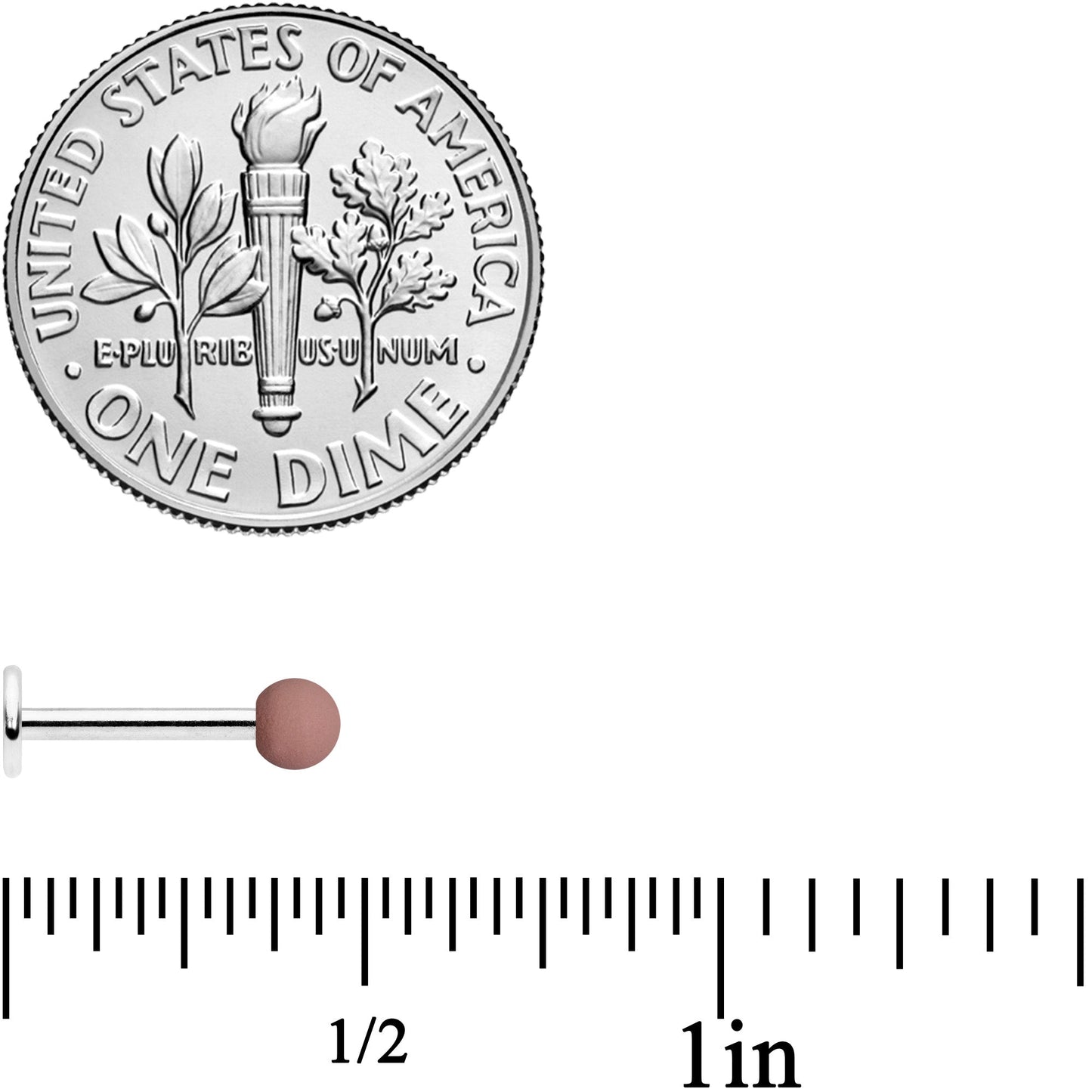 16G 5/16 Blue Brown Matte Labret Monroe Tragus Set of 4