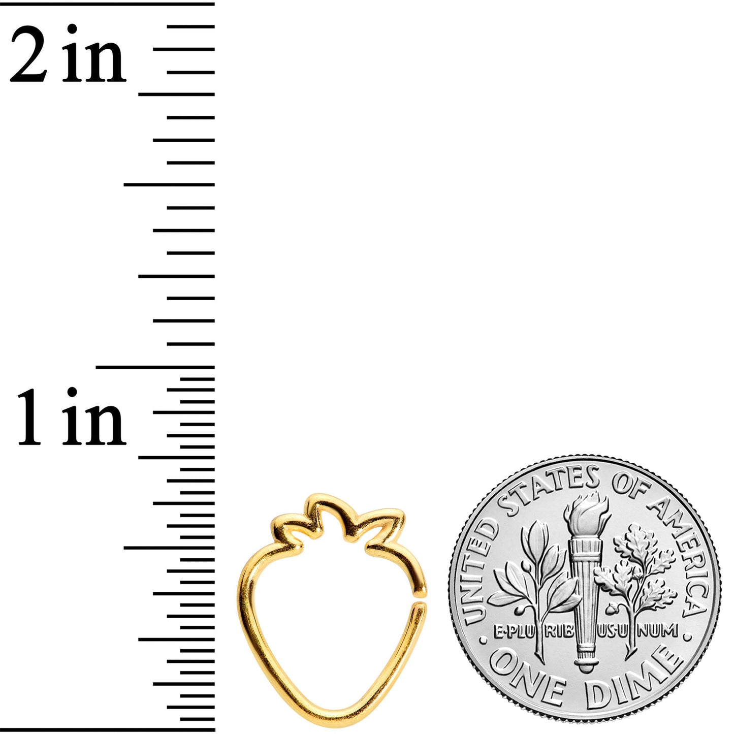 16G 5/16 Gold Tone Fruit Strawberry Closure Ring