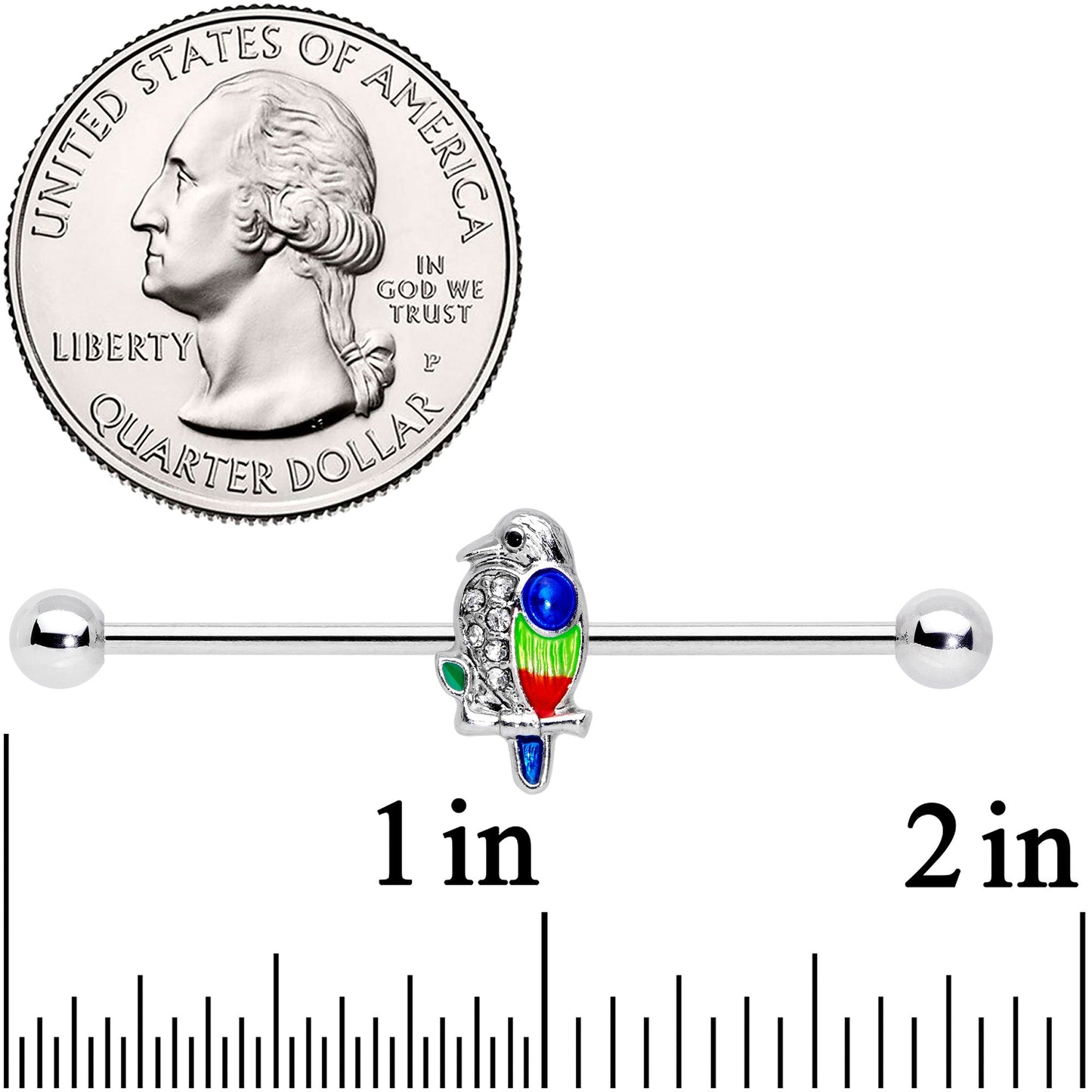 14G Clear Gem Tropical Parrot Bird Industrial Barbell 38mm