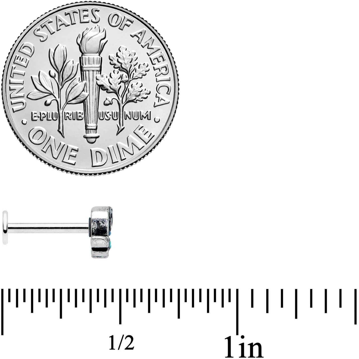 16G 5/16 Aqua Orb Curvy Elephant Labret Monroe Tragus