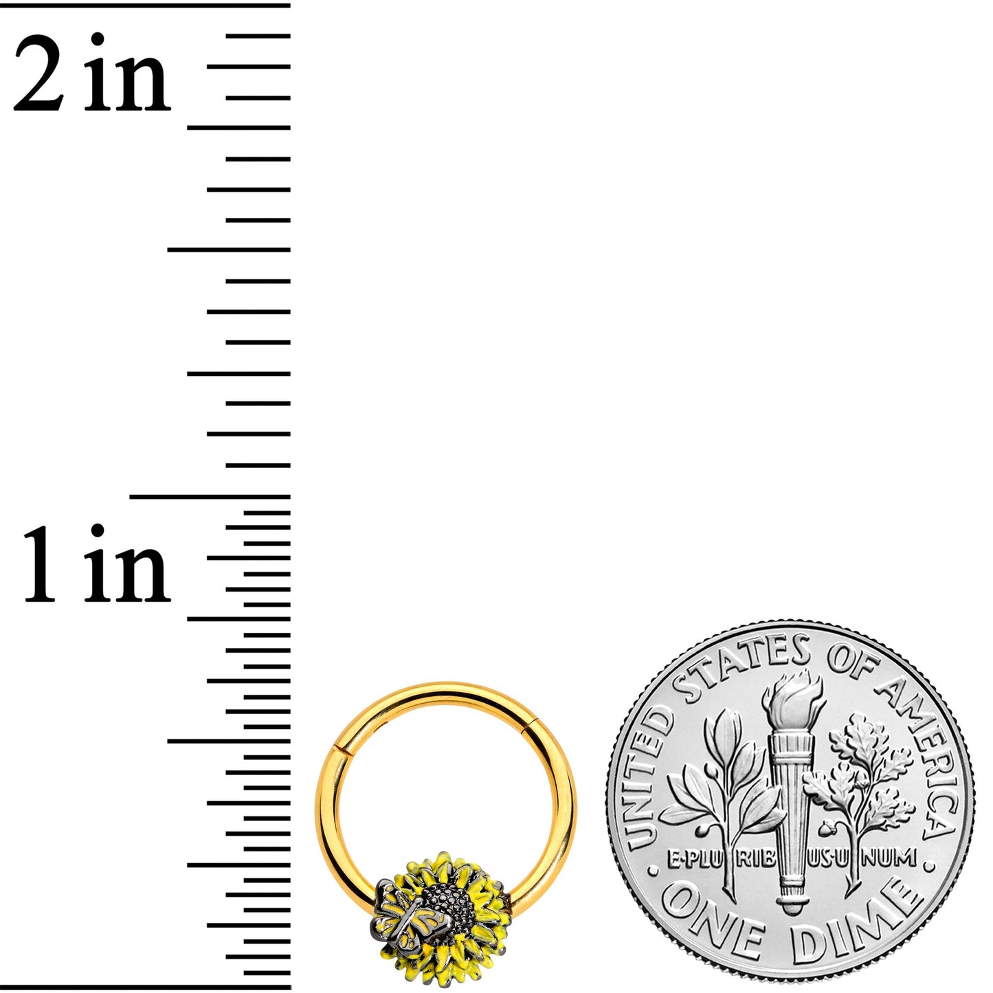 16G 3/8 Gold Tone Sunflower Butterfly Hinged Segment Ring