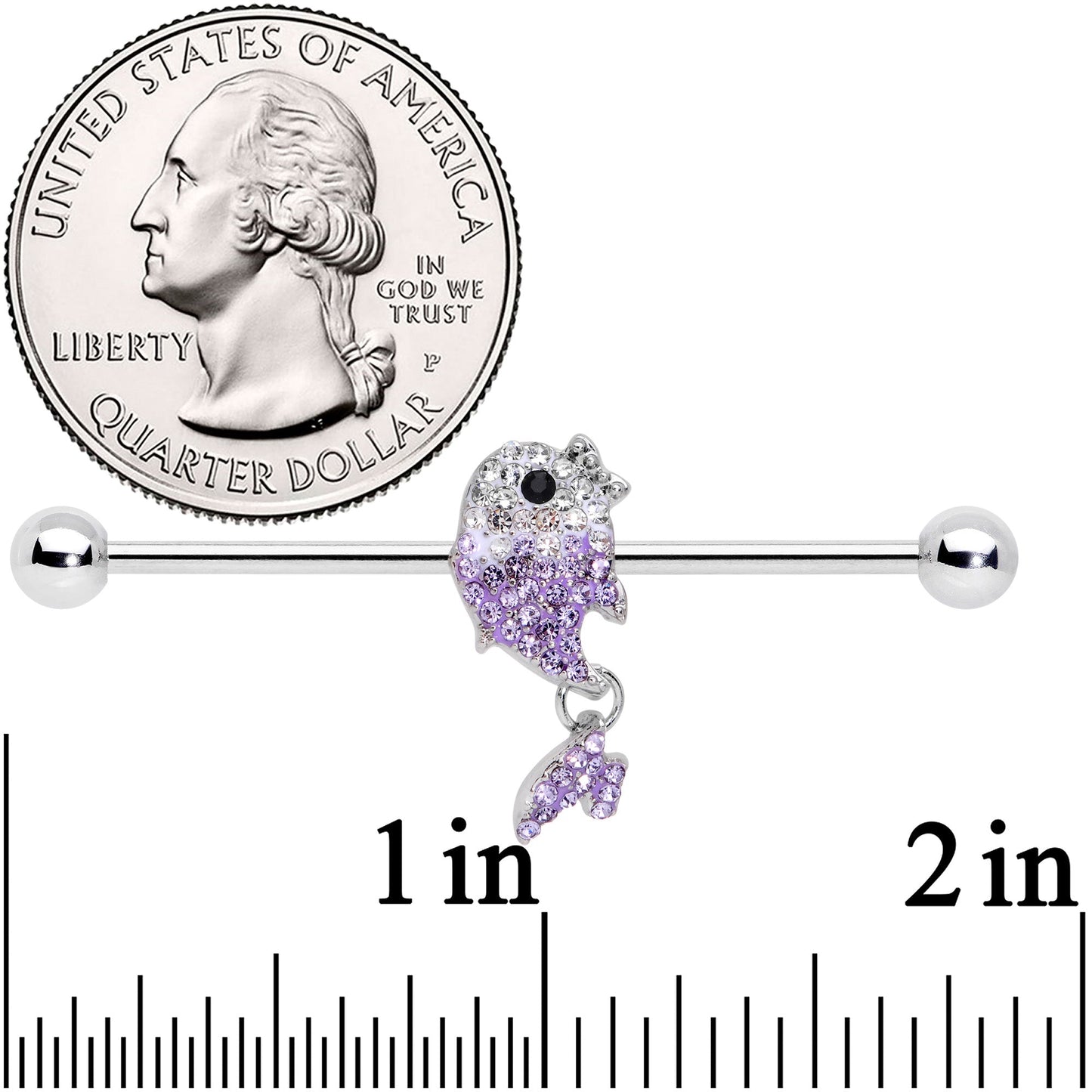 14G Clear Purple Gem Fish Dangle Industrial Barbell 38mm