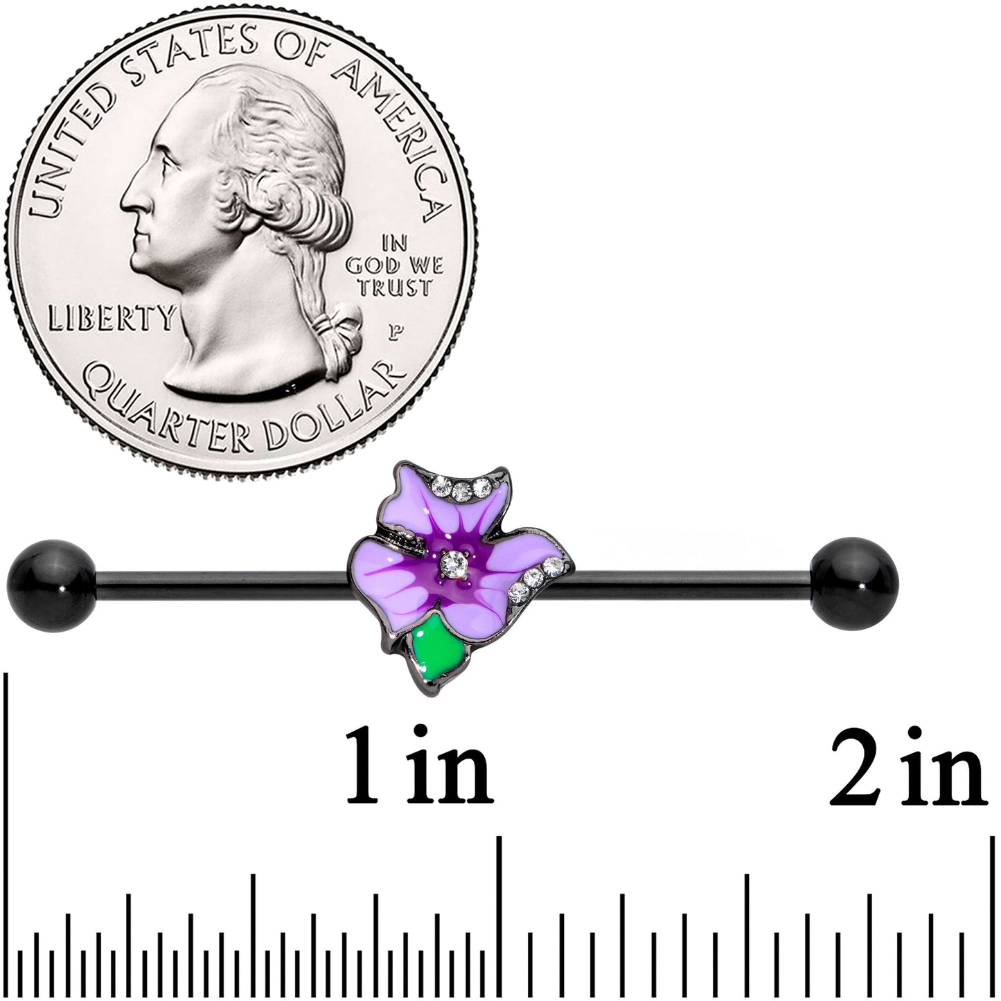 14G Clear Gem Black Iris Flower Industrial Barbell 38mm