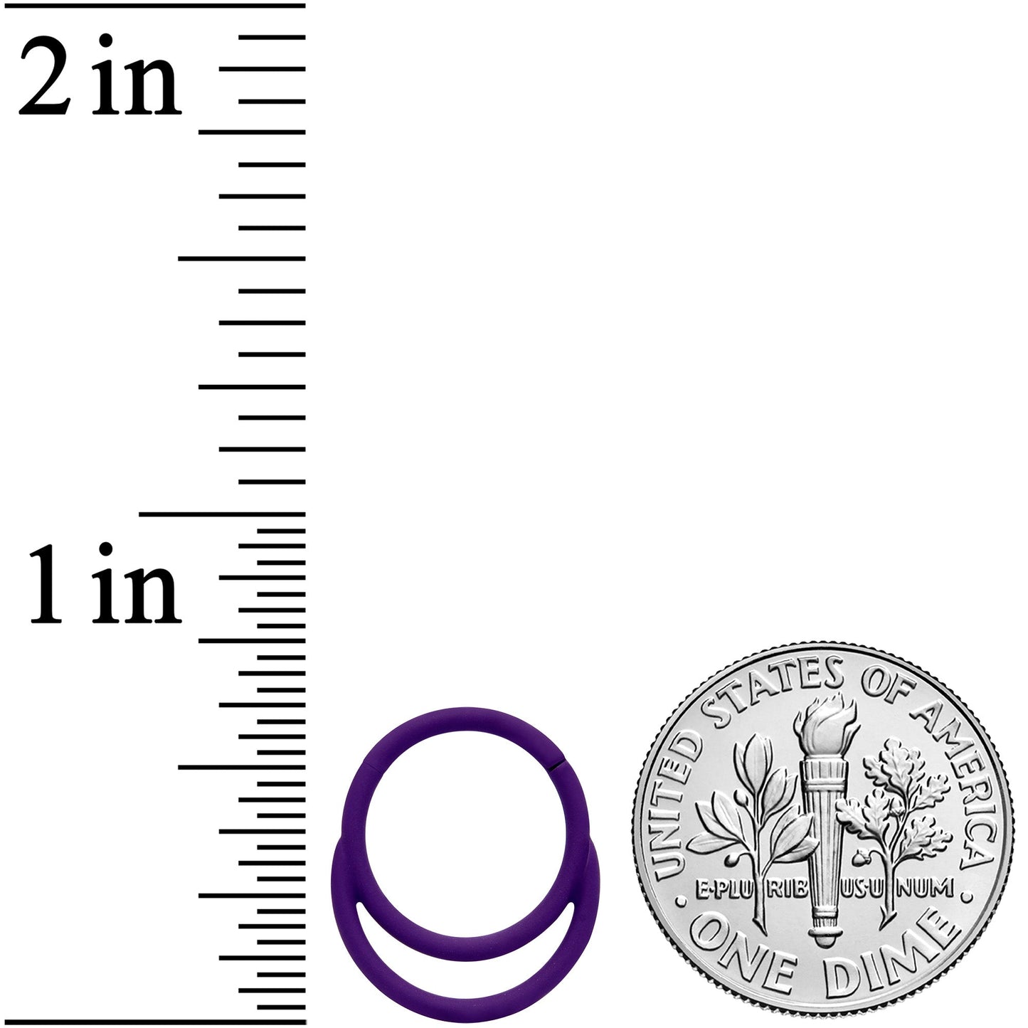 18G 3/8 Purple Matte Double Circle Cartilage Hinged Segment Ring