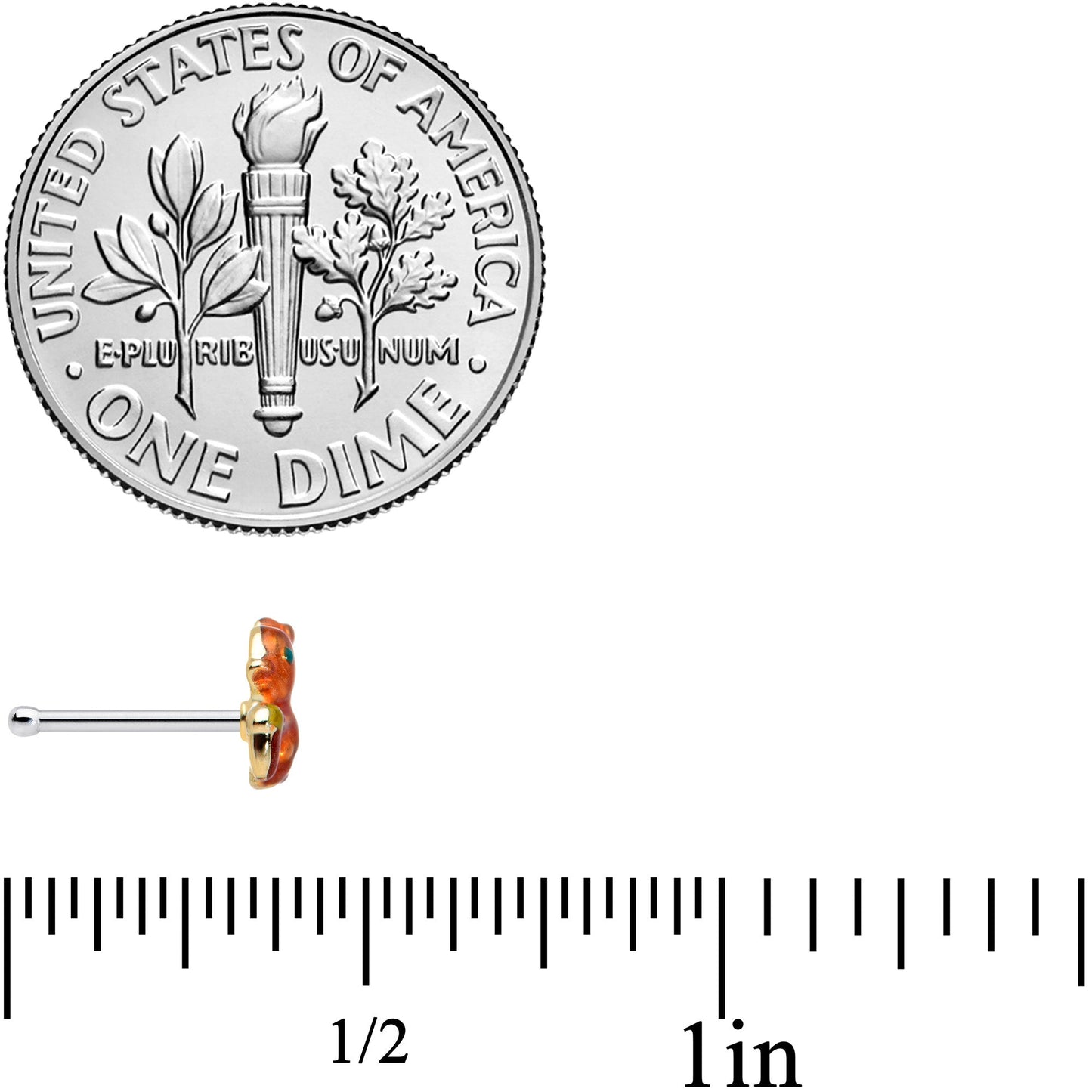 20G 1/4 Brown Happy Squirrel Acorn Nose Bone