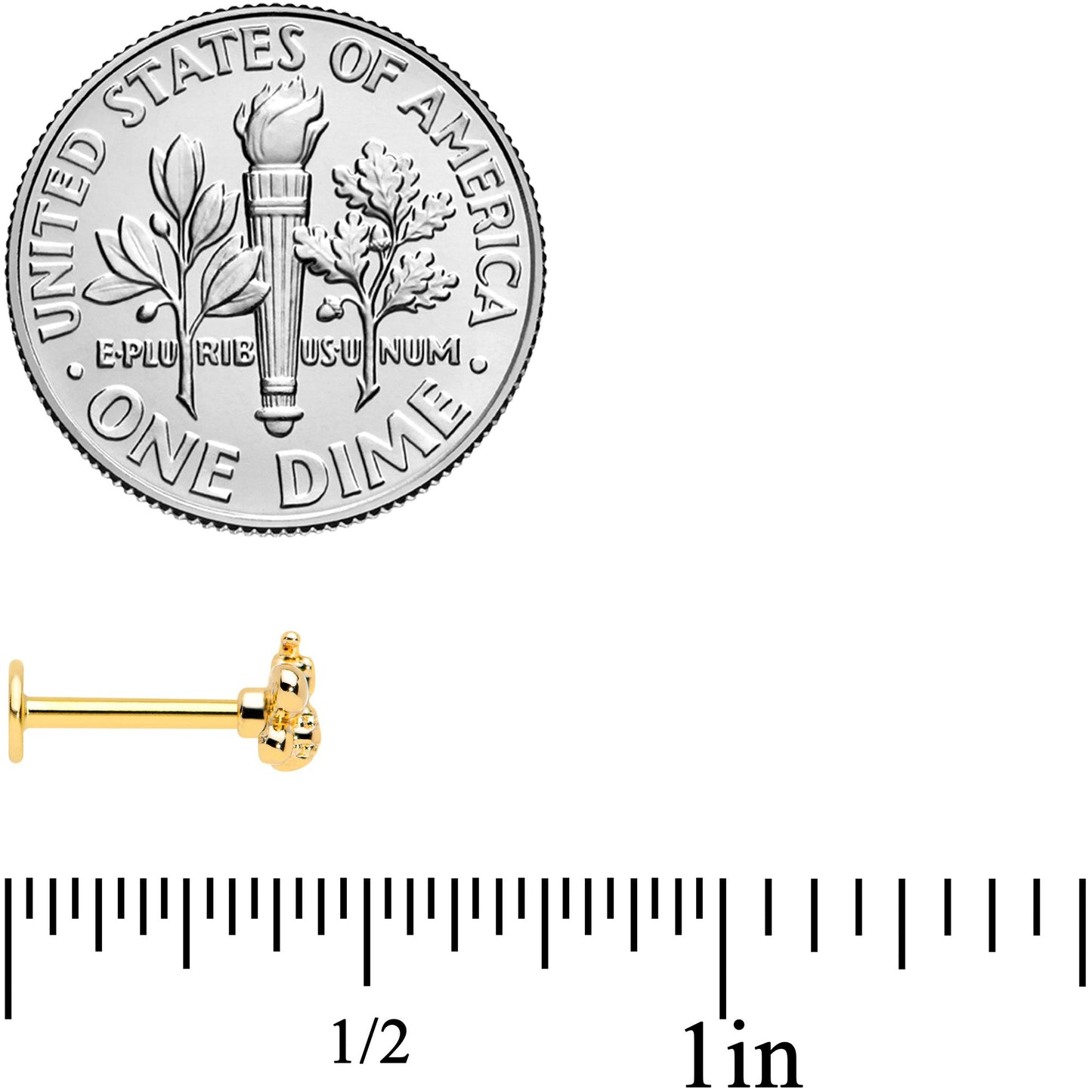 16G 5/16 Gold Tone Simply Stylish Bee Labret Monroe Tragus