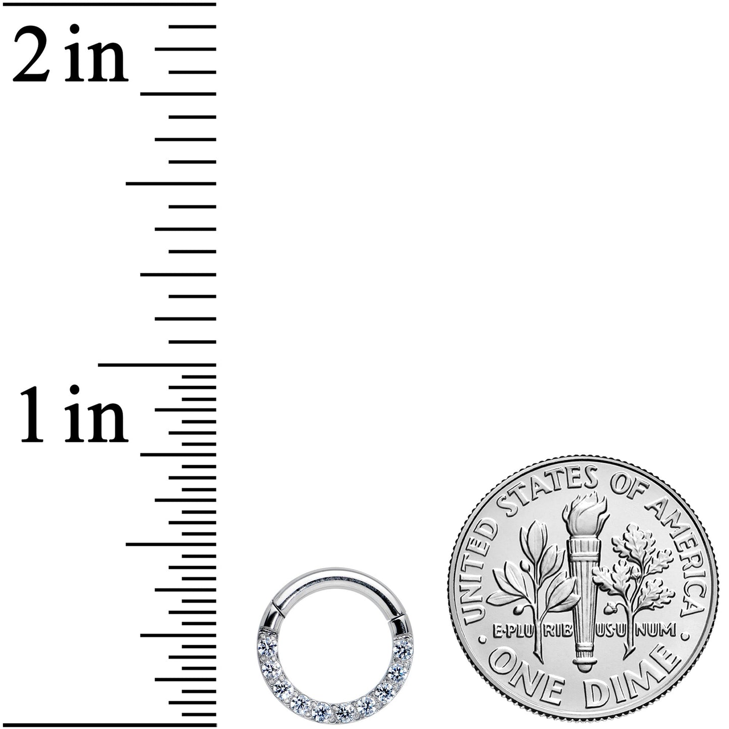 14G 5/16 Clear CZ Gem G23 Titanium Paved Hinged Segment Ring