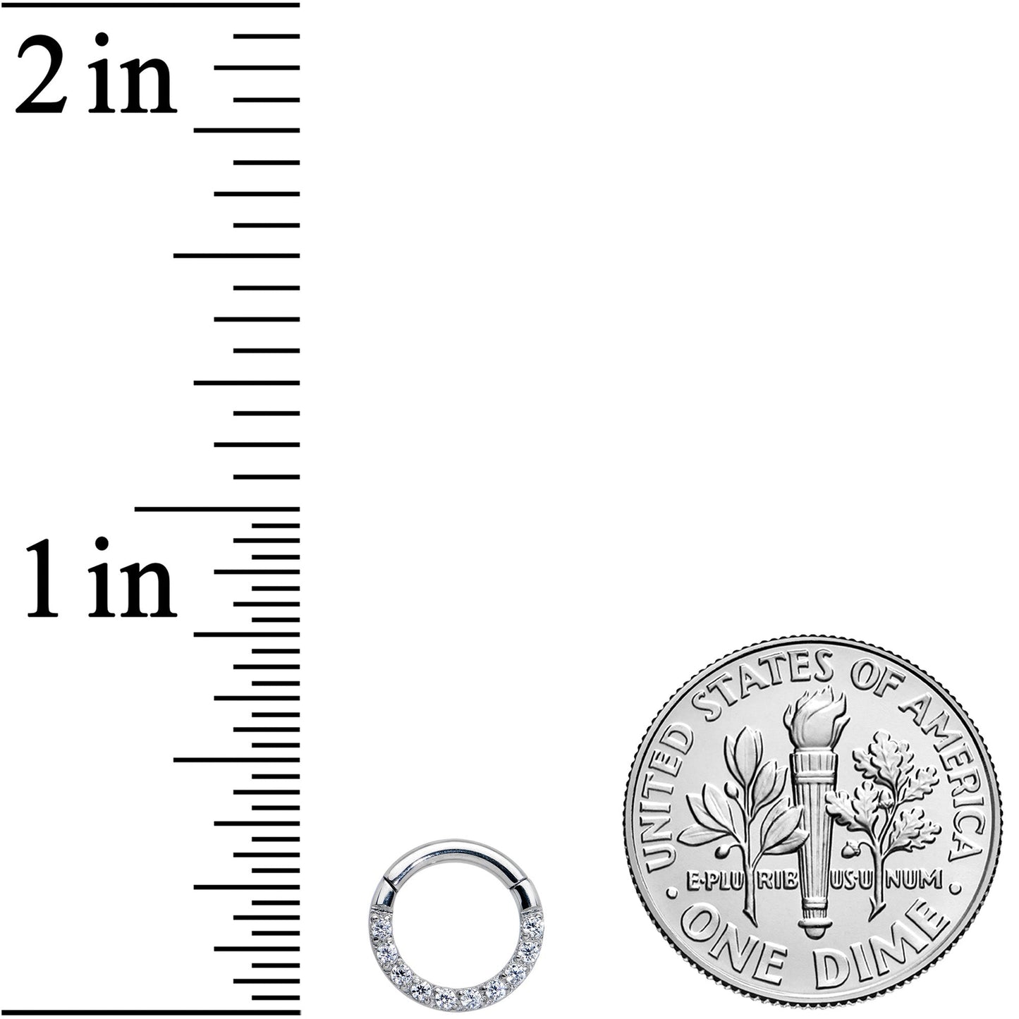 16G 1/4 Clear CZ Gem G23 Titanium Paved Hinged Segment Ring