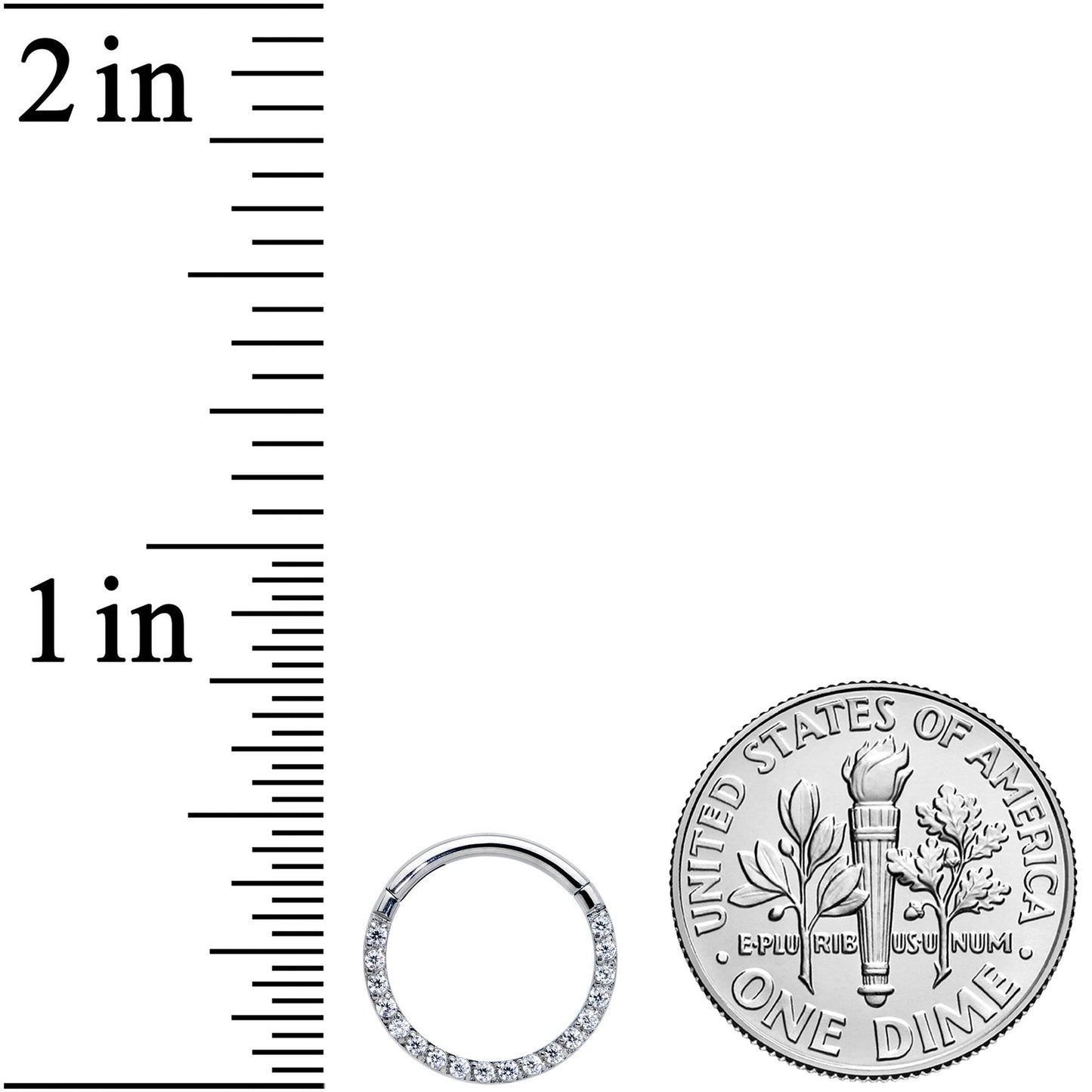 16G 3/8 Clear CZ Gem G23 Titanium Paved Hinged Segment Ring