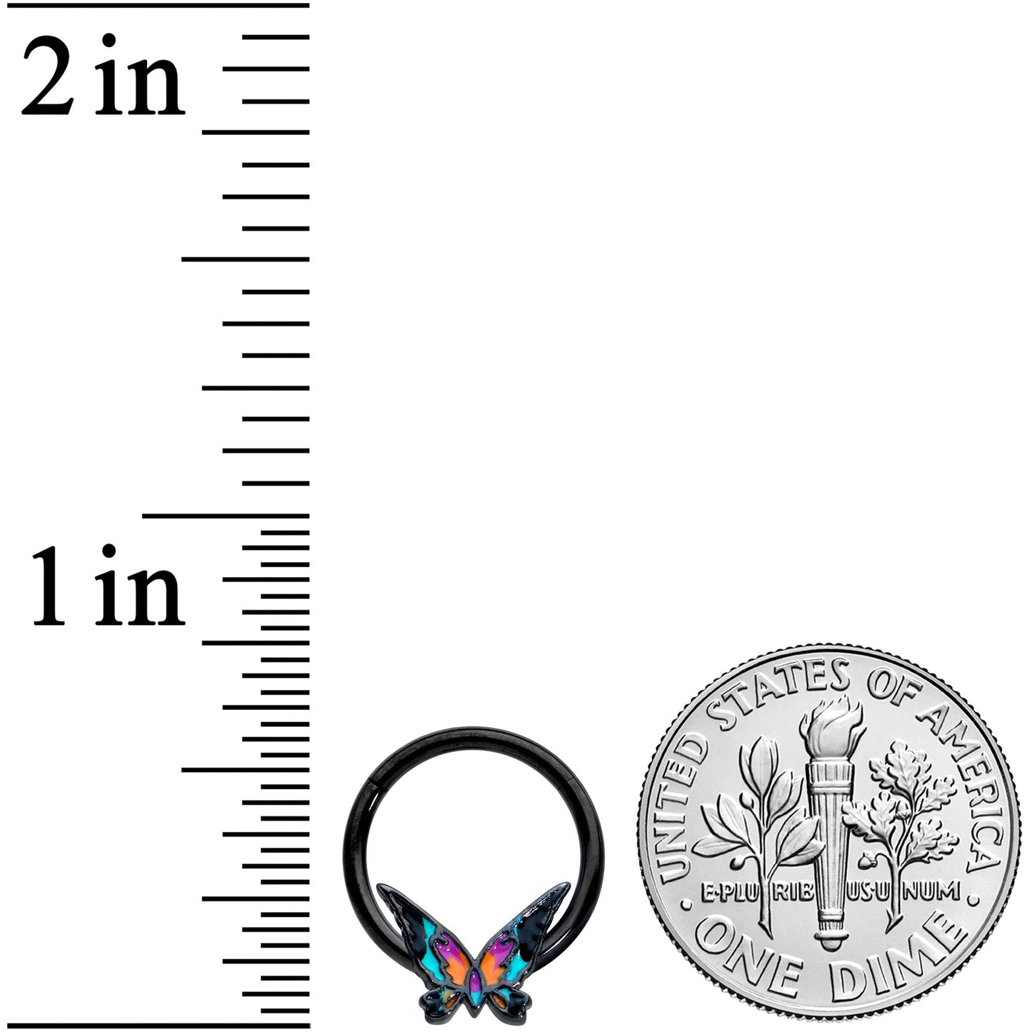 16G 3/8 Black Sunset Butterfly Hinged Segment Ring