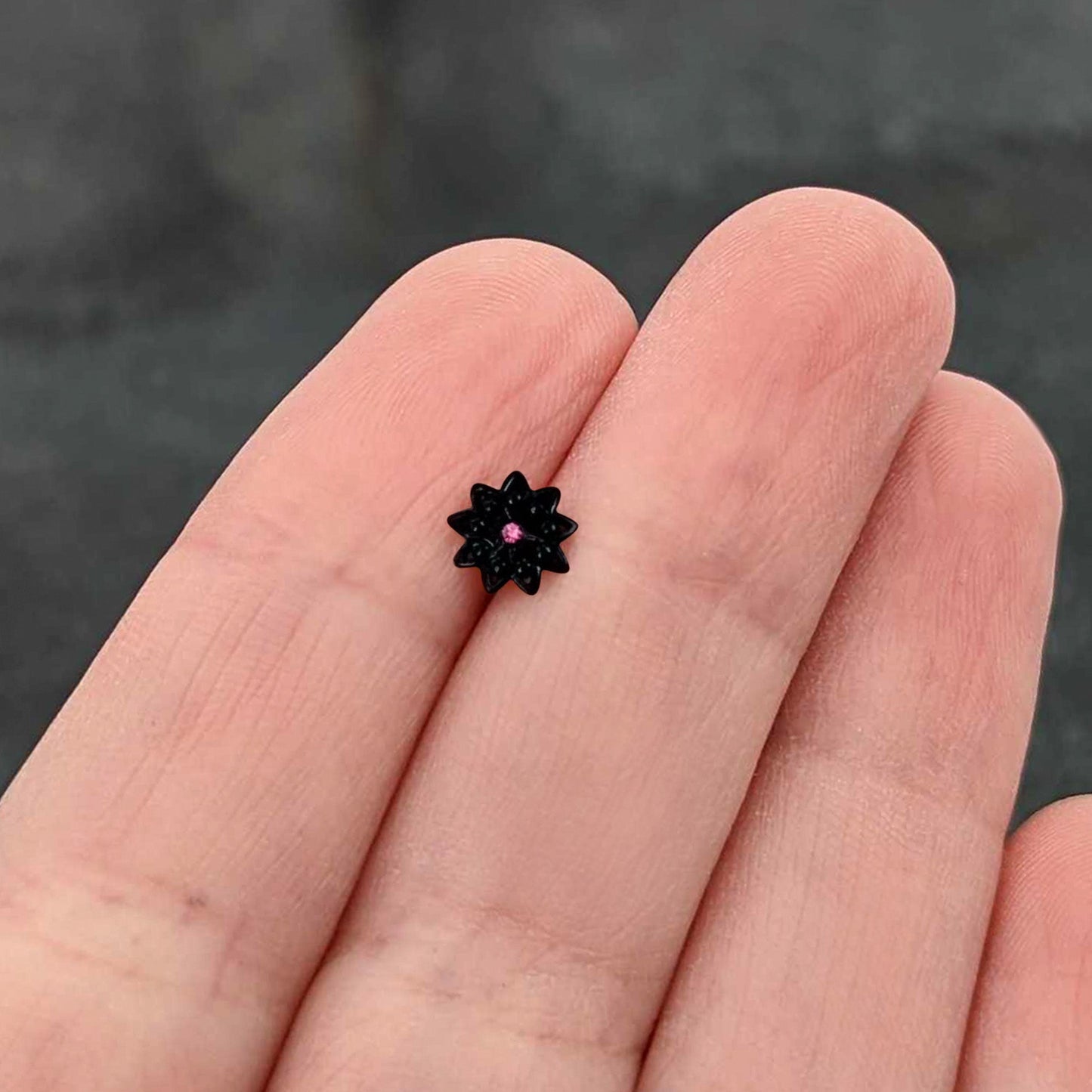 16G 1/4 Pink Gem Black Midnight Flower Cartilage Tragus Earring