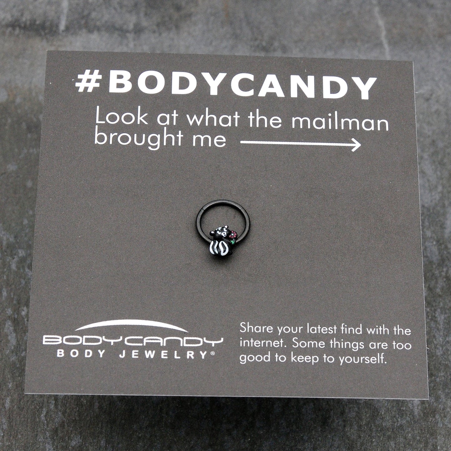 16G 3/8 Black Funky Skunk Hinged Segment Ring