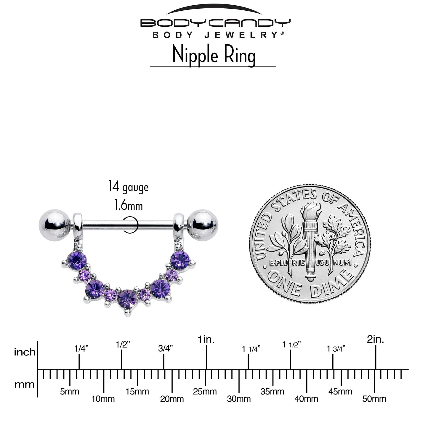 14G 9/16 Purple CZ Gem February Birthstone Dangle Nipple Shield Set