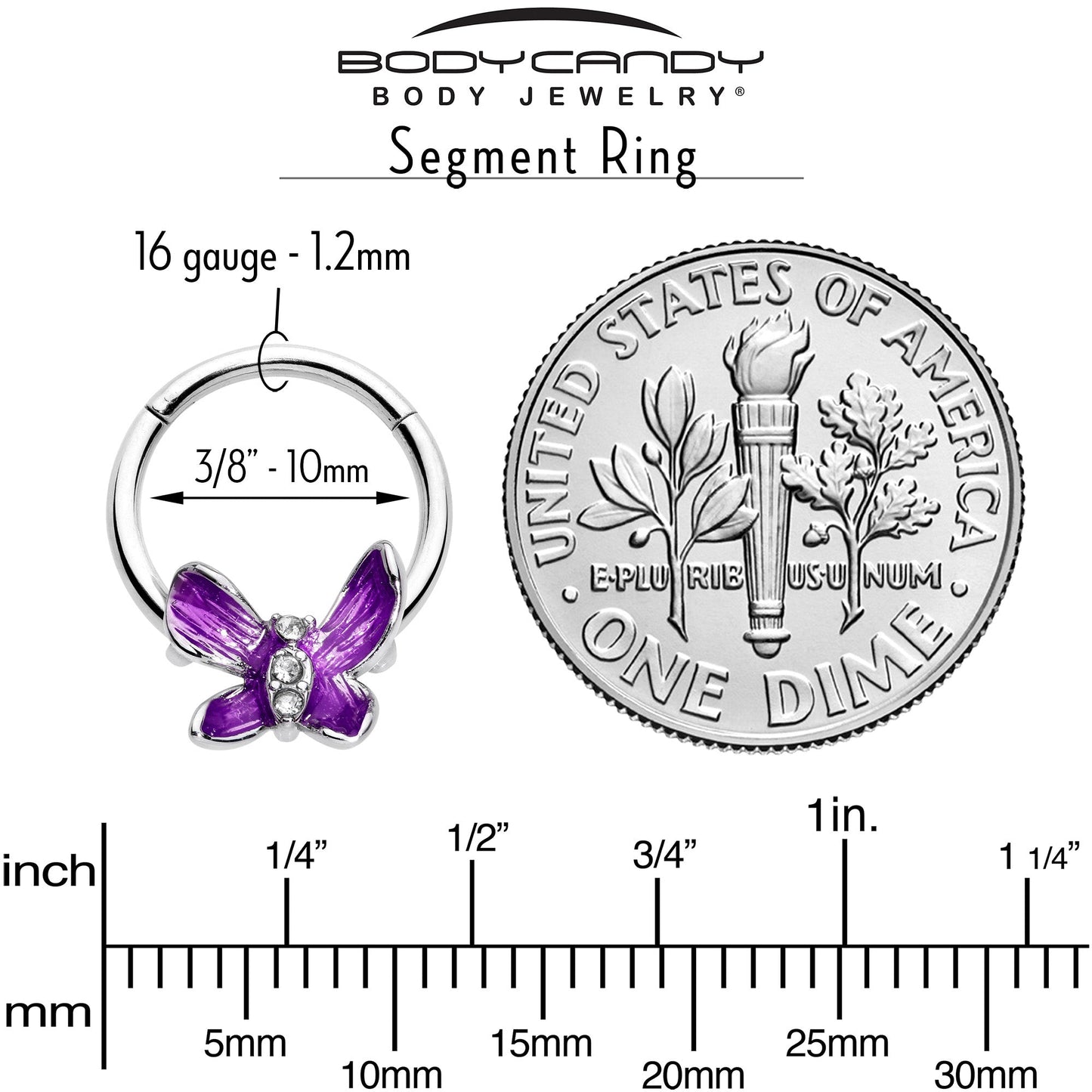 16G 3/8 Clear Gem Chunky Butterfly Purple Hinged Segment Ring