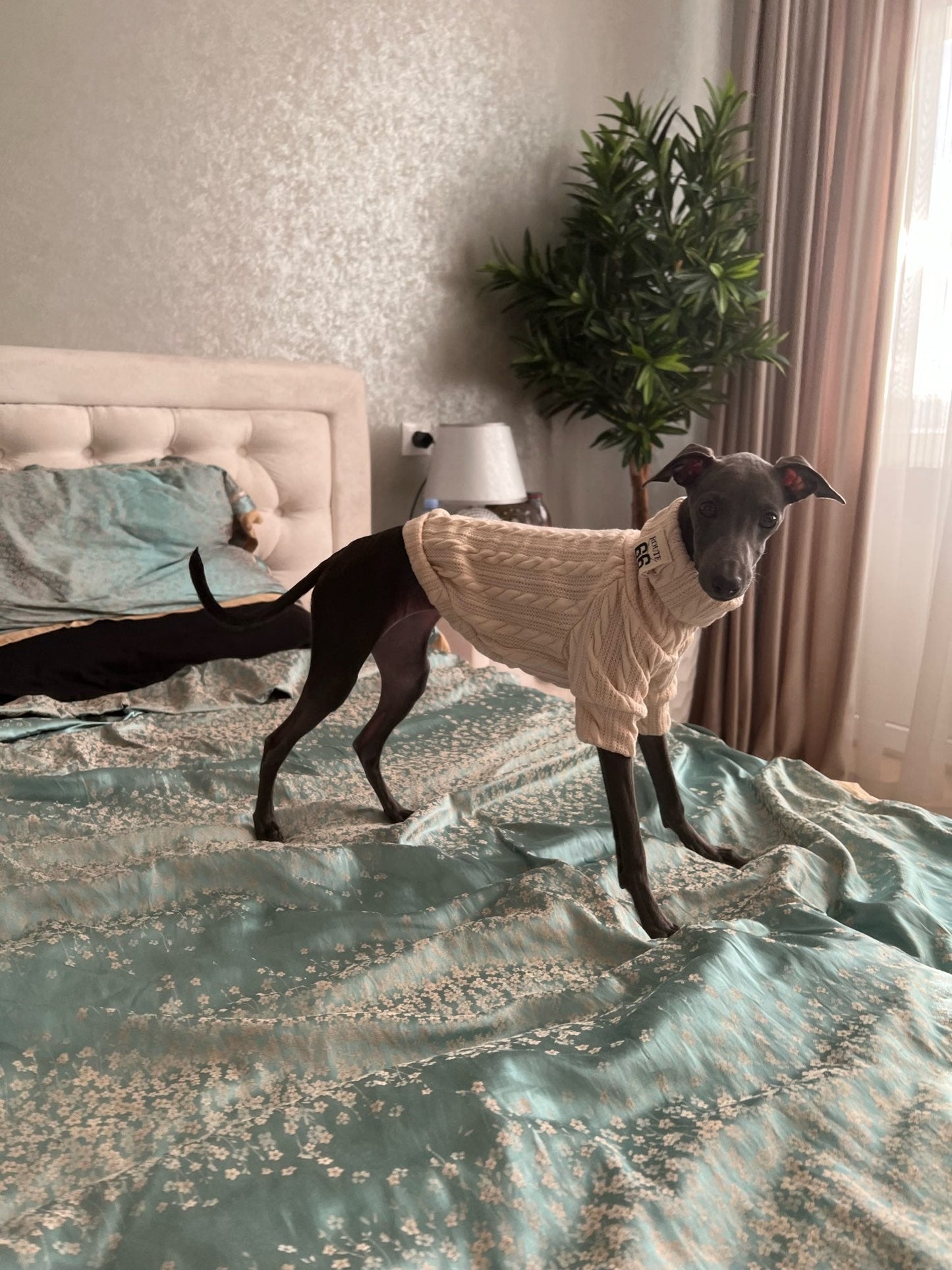 Winter Warm Knitted Turtleneck Sweater for Small Dogs or Cats