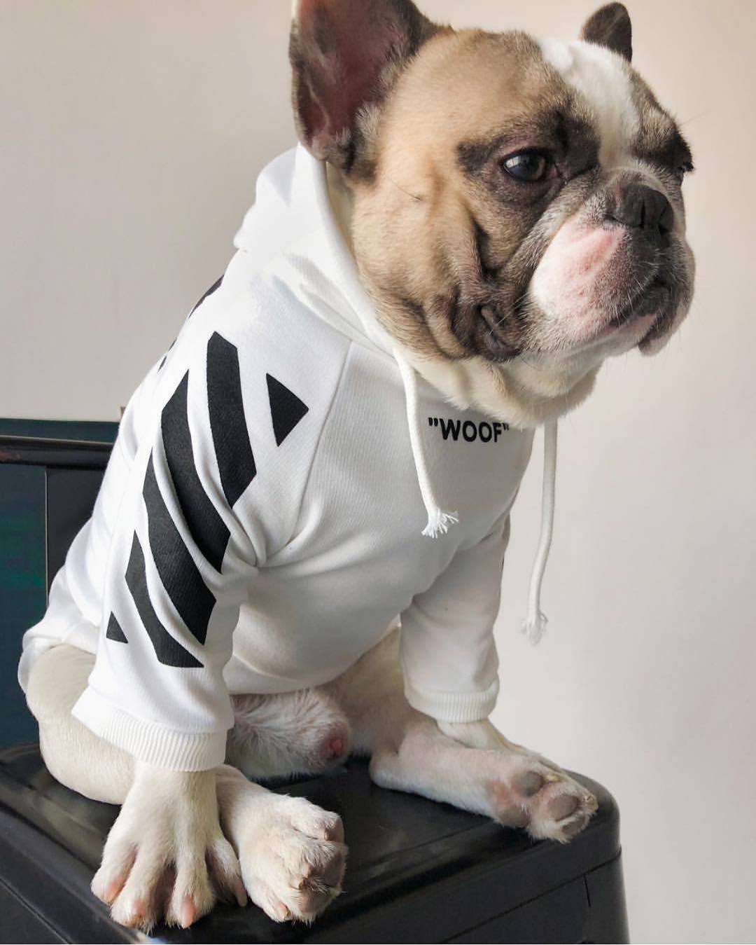 Fresh Pawz Woof Dog Hoodie