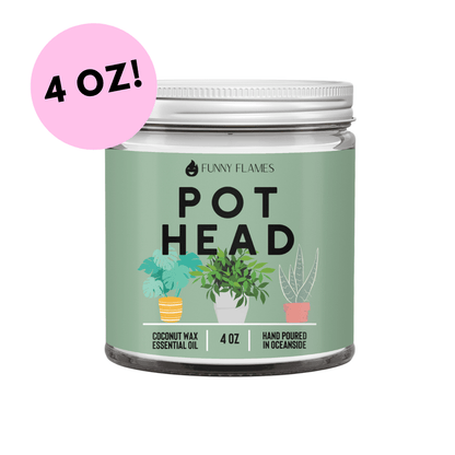 Pot Head - Jaico Online Shop