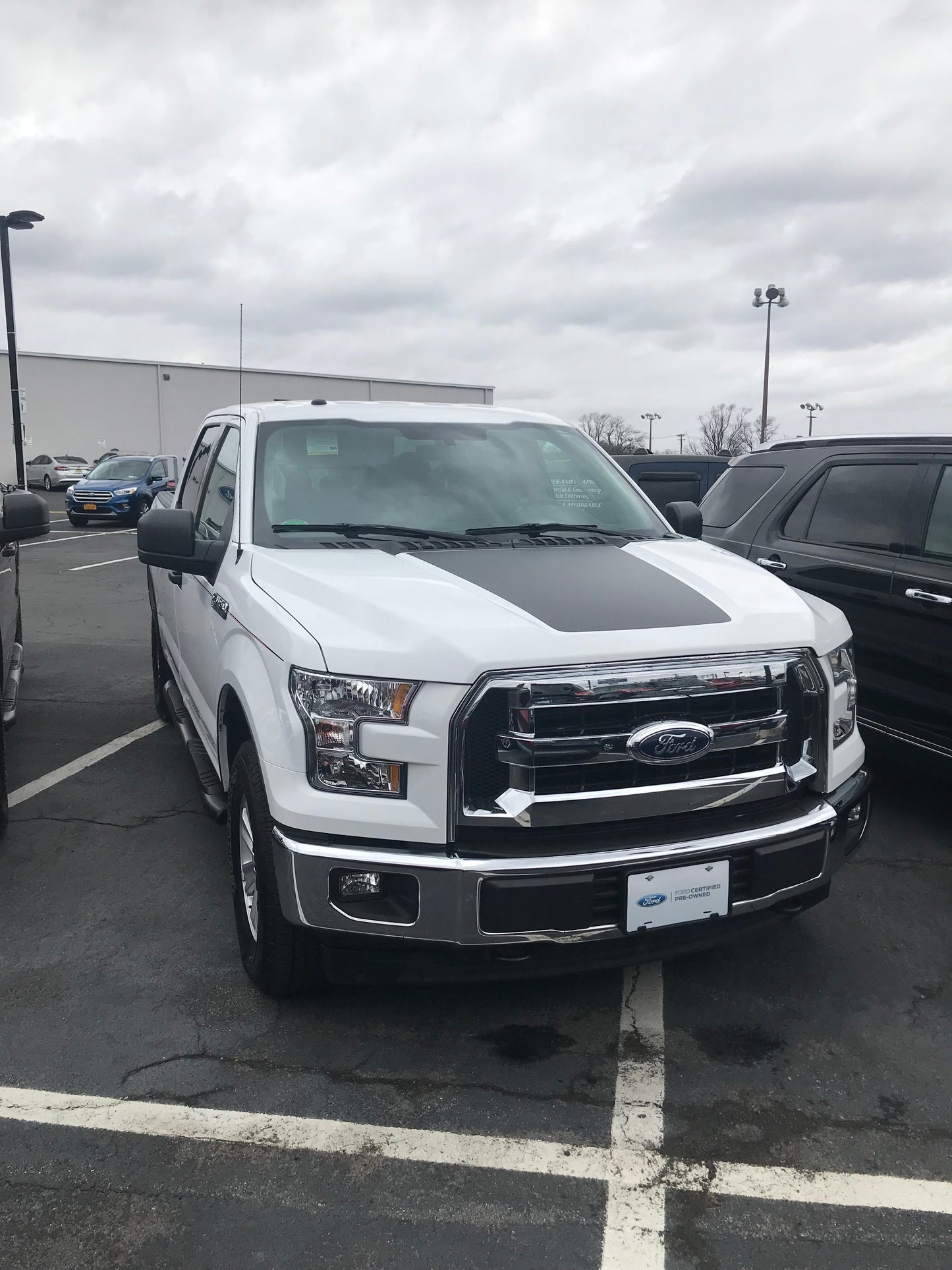 Hood Decal Cover for 2015-2020 Ford F-150