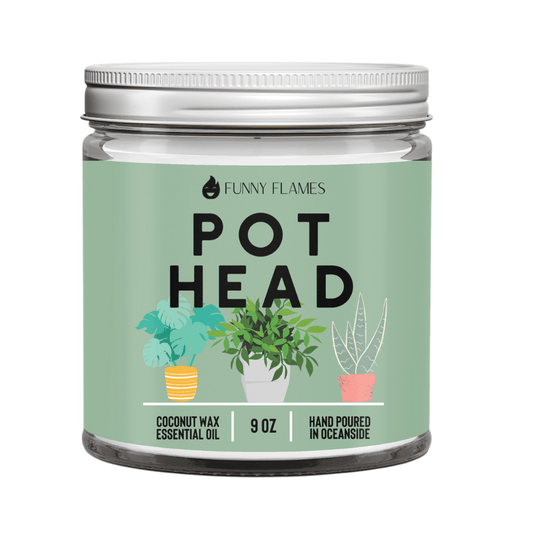 Pot Head - Jaico Online Shop