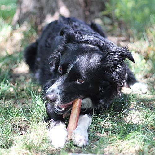 100% Natural Brazilian Bully Sticks - 1 lb Bag 10.00% Off Auto renew - Jaico Online Shop