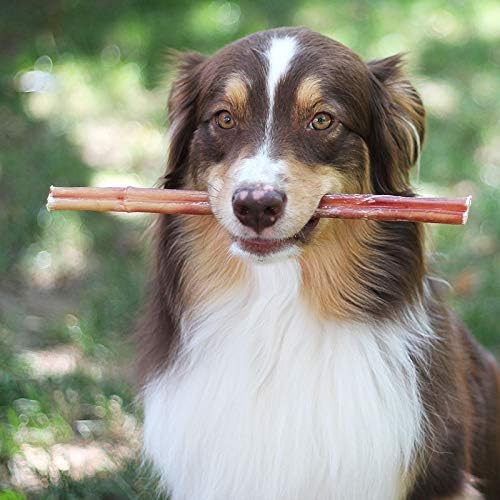 100% Natural Brazilian Bully Sticks - 1 lb Bag 10.00% Off Auto renew - Jaico Online Shop