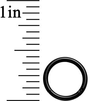 16G 5/16 Black Anodized Hinged Segment Ring