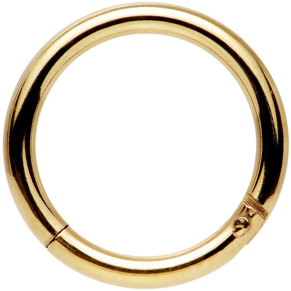 14G 3/8 Gold Tone Anodized Hinged Segment Ring