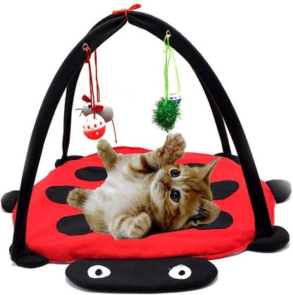 Black Ladybug Cat Play Mat