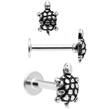 16G 5/16 Multi Tone End Turtle Cartilage Tragus Earring Set