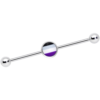 14G Black Gray Purple Asexual Pride Flag Industrial Barbell 38mm