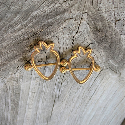 14G 3/4 Gold Tone Hollow Strawberry Nipple Shield Set