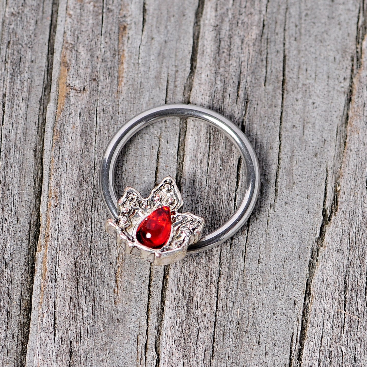 16G 3/8 Red Gem Holly Leaf Holiday BCR Captive Ring