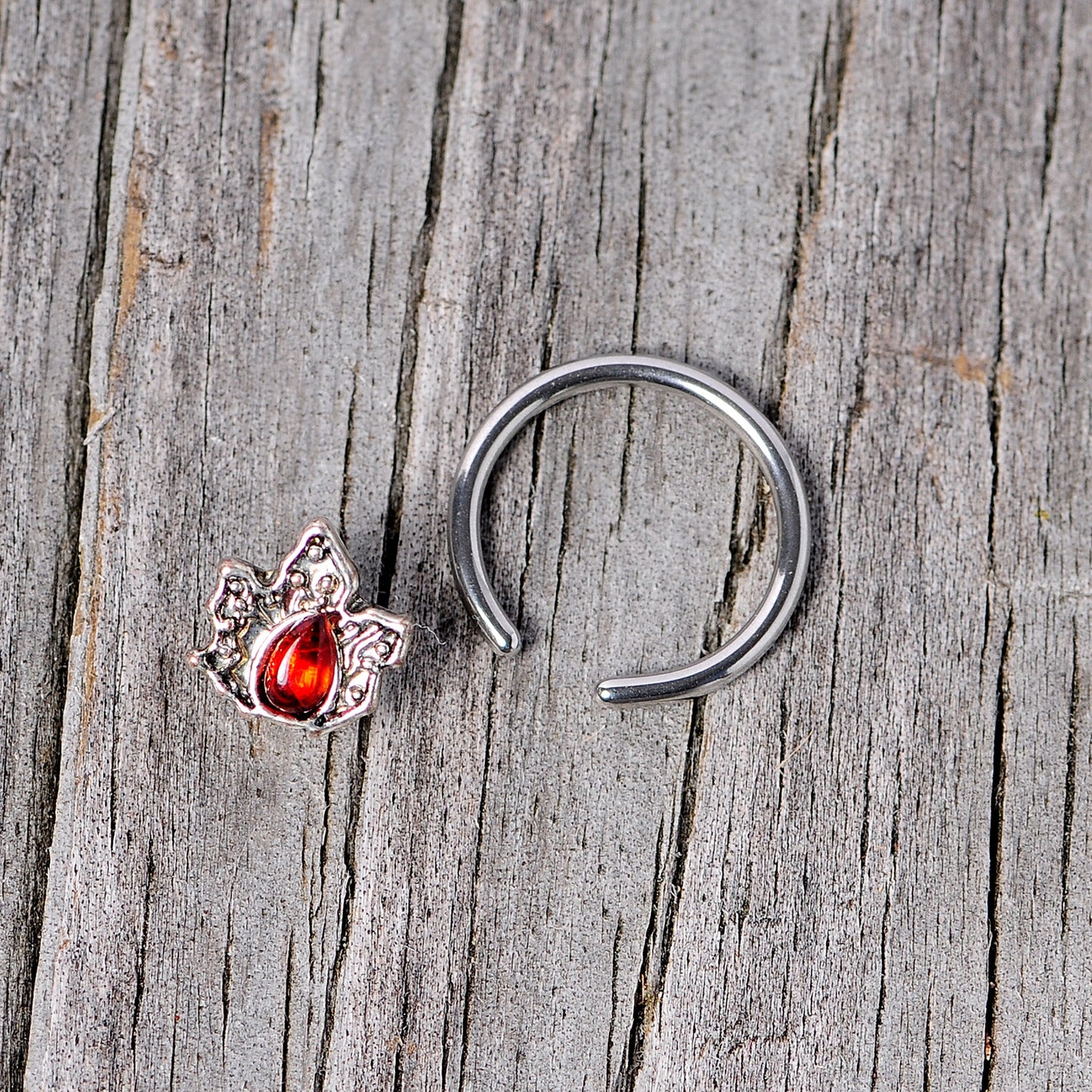 16G 3/8 Red Gem Holly Leaf Holiday BCR Captive Ring