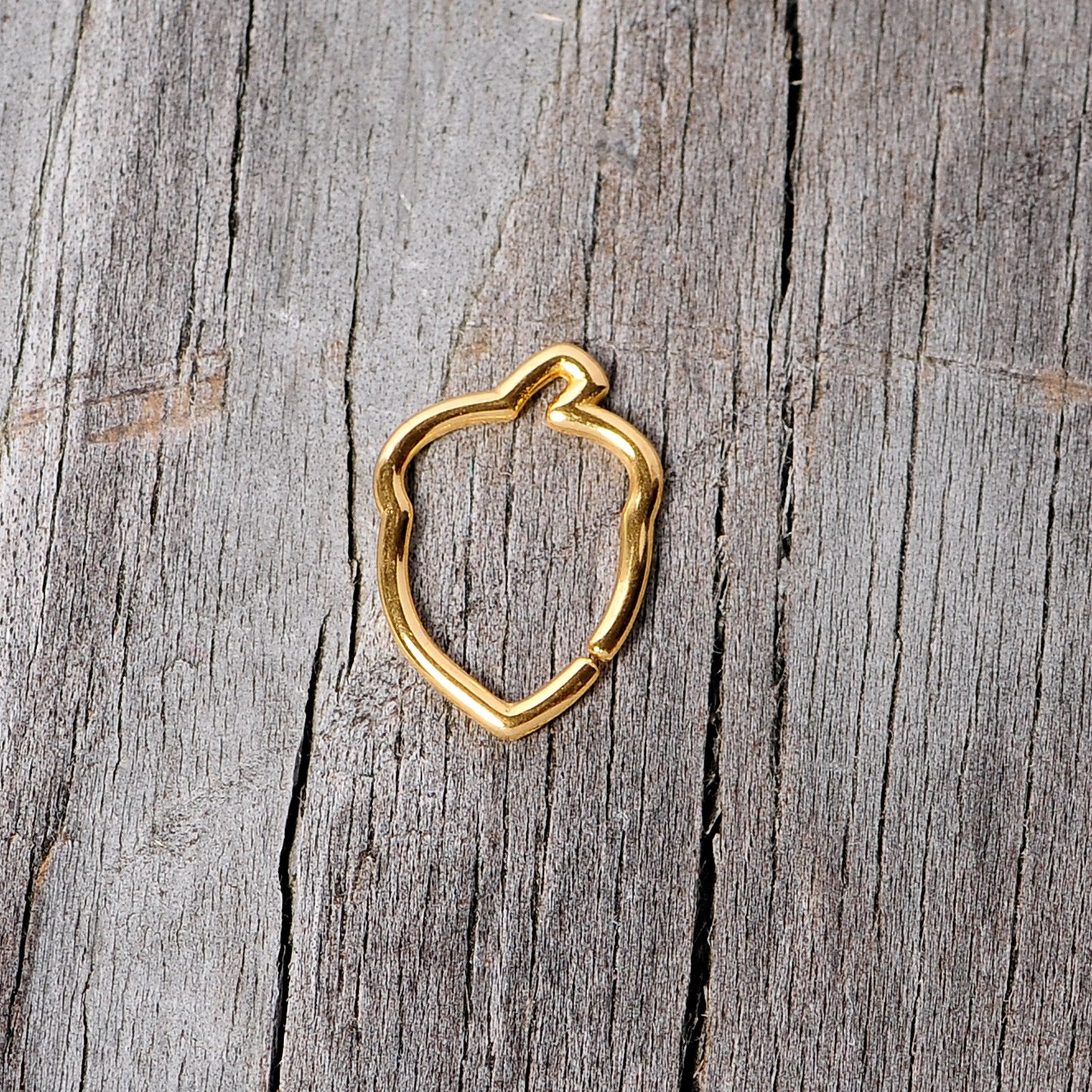 16G 3/8 Gold Tone Autumn Acorn Closure Ring