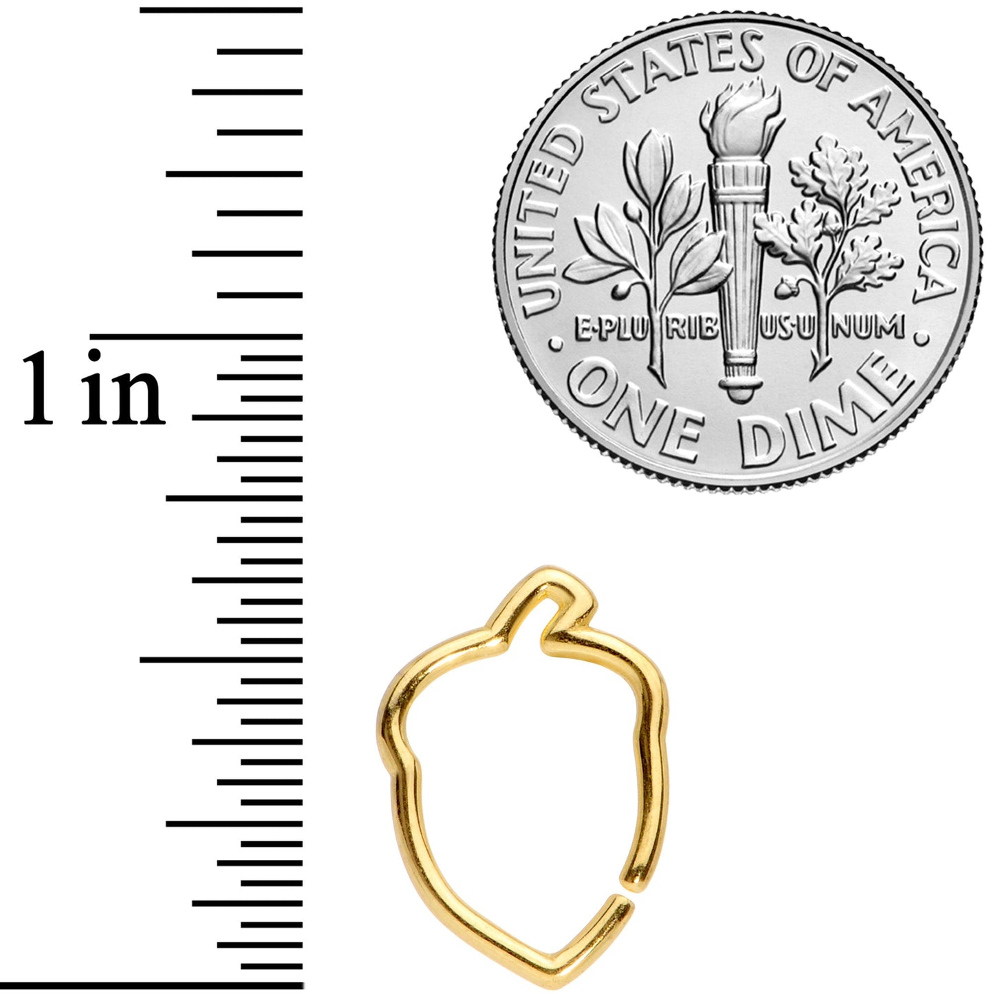 16G 3/8 Gold Tone Autumn Acorn Closure Ring