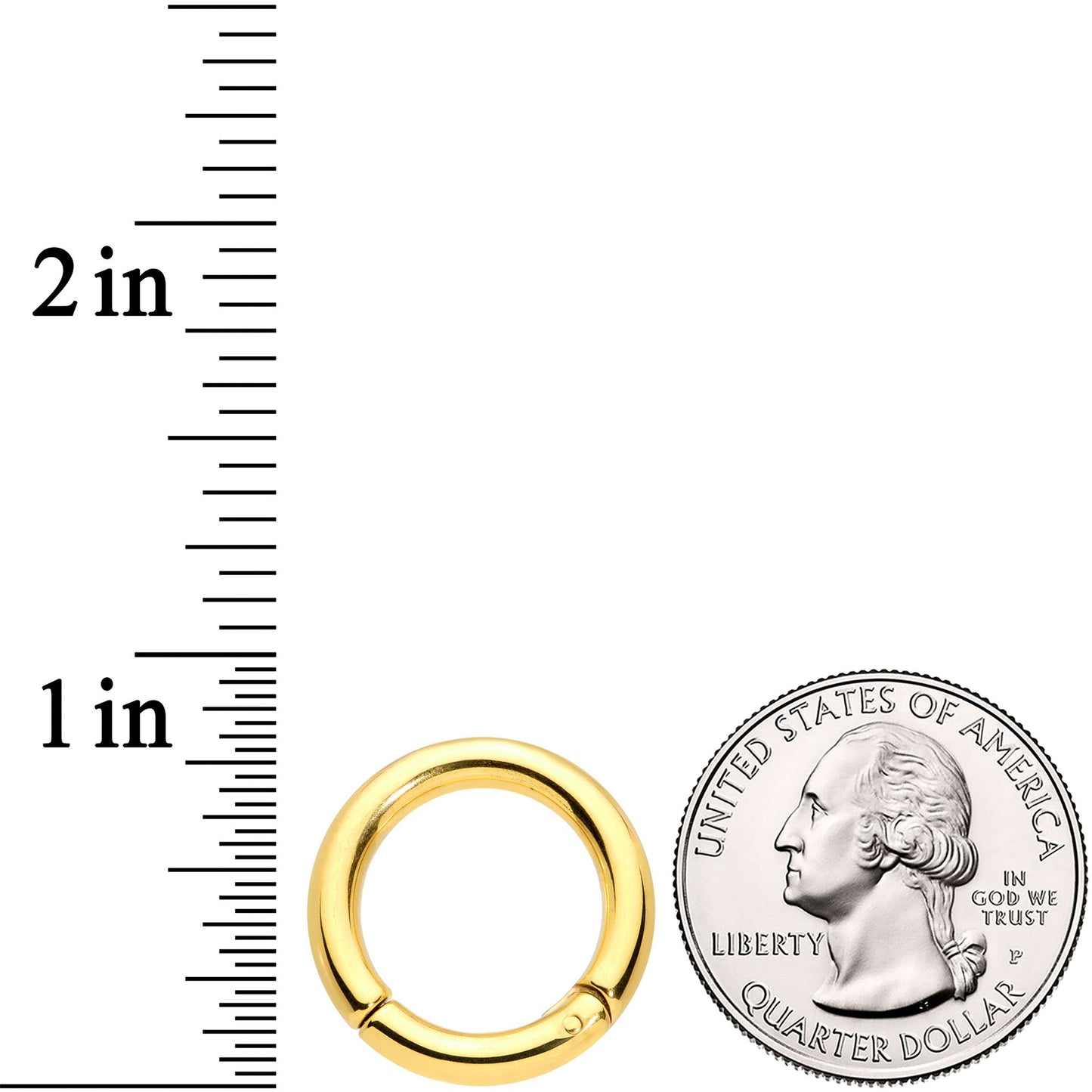 8G 9/16 Gold Tone PVD Steel Hinged Segment Ring