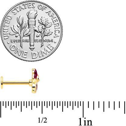 16G 5/16 Gold Tone Squirrel Labret Monroe Tragus